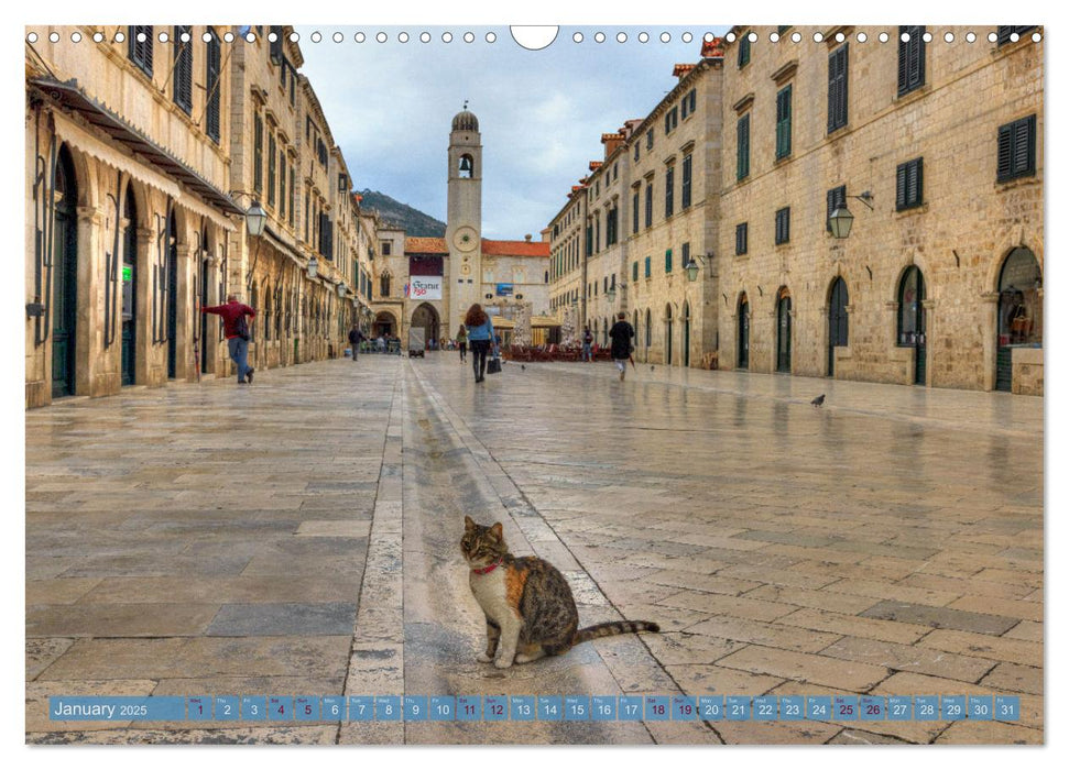 Dubrovnik - Croatia The beauty of the Dalmatian coast (CALVENDO Monthly Calendar 2025)