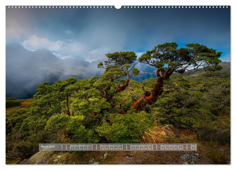 Picturesque Mountain Worlds (CALVENDO Monthly Calendar 2025)