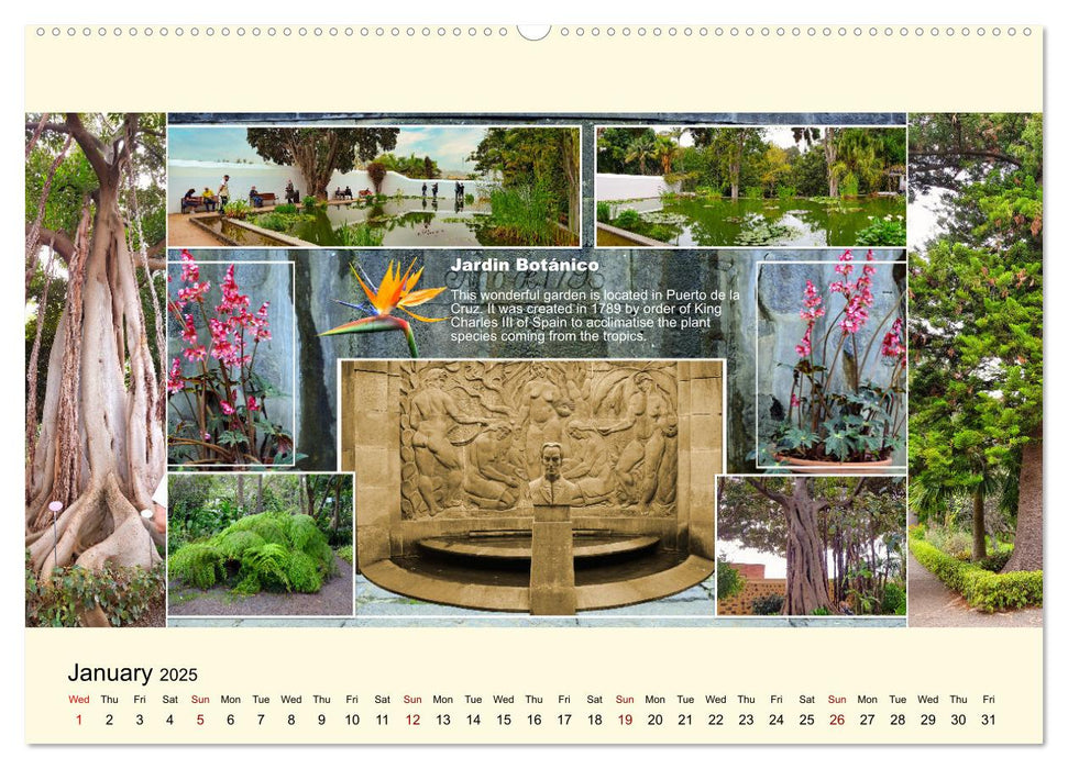 Enchanting Tenerife (CALVENDO Monthly Calendar 2025)