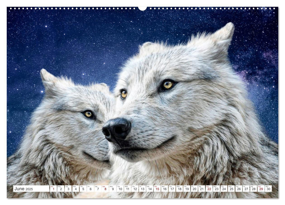 Wildlife of the Tundra (CALVENDO Monthly Calendar 2025)