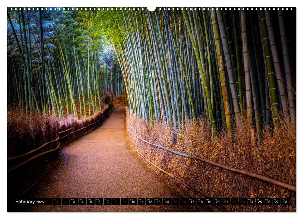 Japan - between tradition and modernity (CALVENDO Monthly Calendar 2025)