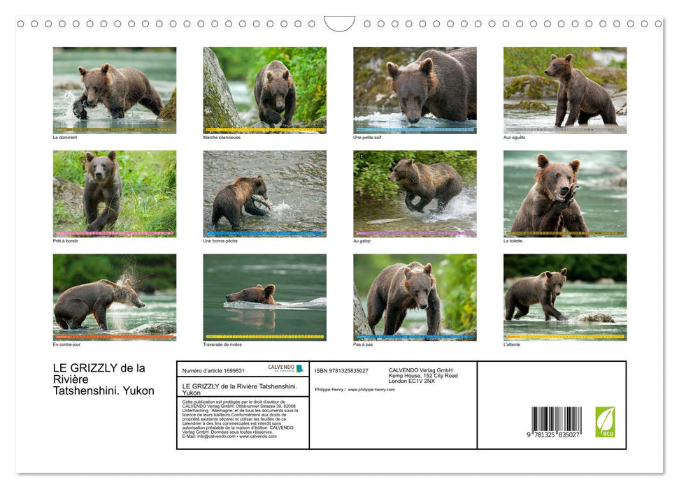 LE GRIZZLY de la Rivière Tatshenshini. Yukon (CALVENDO Calendrier mensuel 2025)