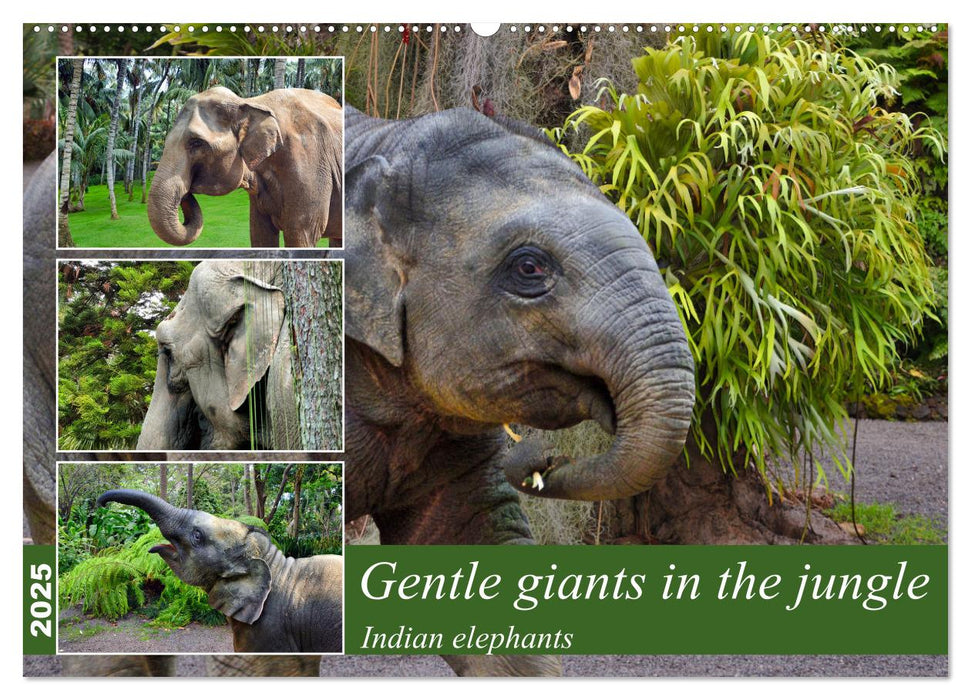 Gentle giants in the jungle (CALVENDO Monthly Calendar 2025)