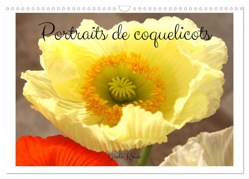 Portraits de coquelicots (CALVENDO Calendrier mensuel 2025)