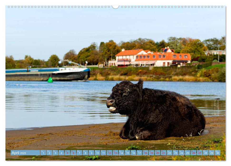 LOVELY VENLO (CALVENDO Monthly Calendar 2025)