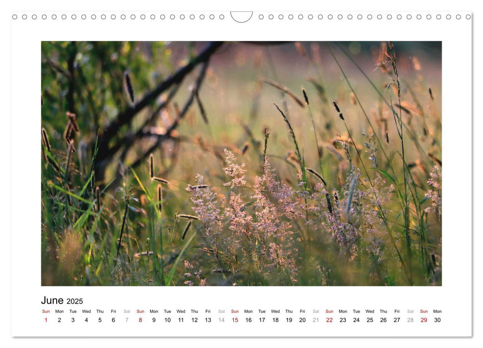 My place of desire, nature (CALVENDO Monthly Calendar 2025)