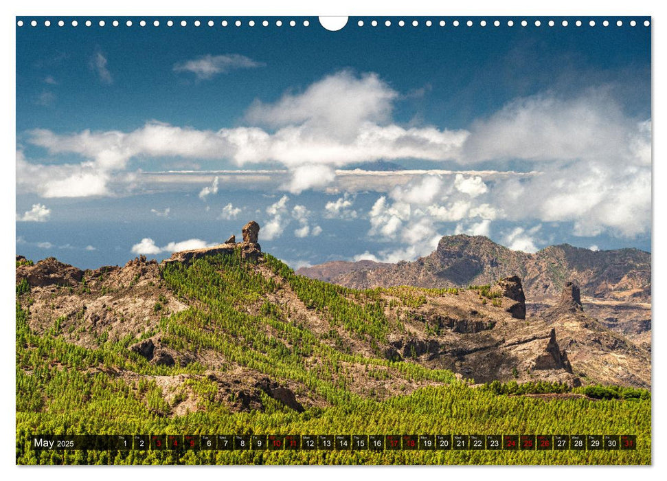 The canary islands Tenerife, Gran Canaria und Fuerteventura (CALVENDO Monthly Calendar 2025)