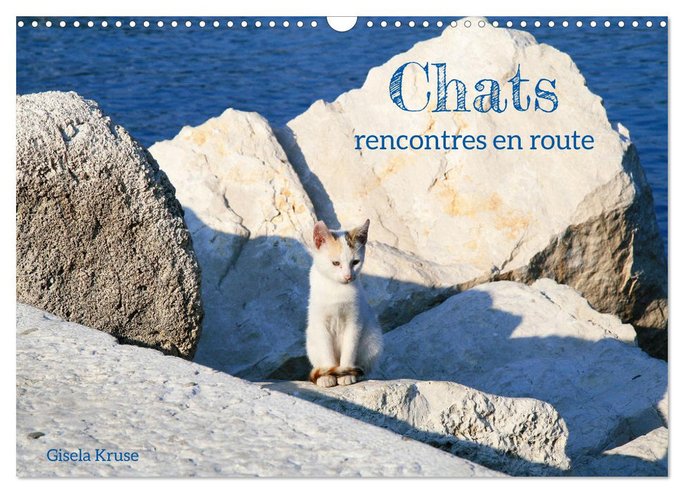 Chats - rencontres en route (CALVENDO Calendrier mensuel 2025)