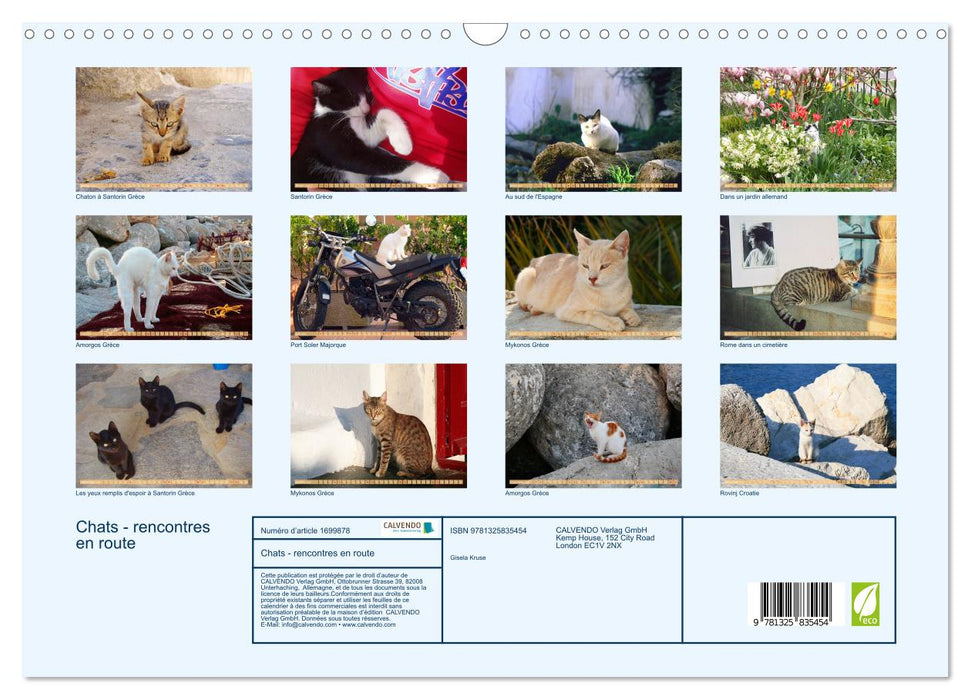 Chats - rencontres en route (CALVENDO Calendrier mensuel 2025)