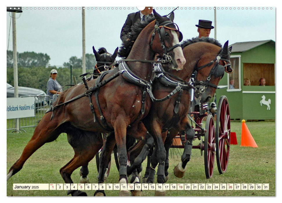 Four-in-hand Driving Challenge (CALVENDO Monthly Calendar 2025)