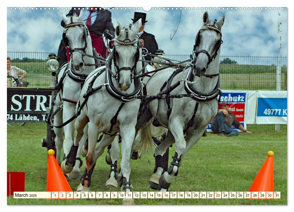 Four-in-hand Driving Challenge (CALVENDO Monthly Calendar 2025)