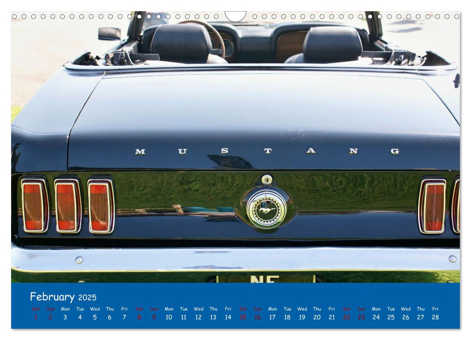 Great American cars (CALVENDO Monthly Calendar 2025)