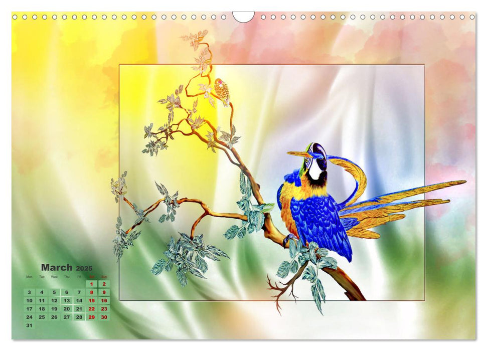 Enchanting parrots (CALVENDO Monthly Calendar 2025)