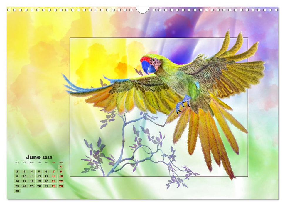 Enchanting parrots (CALVENDO Monthly Calendar 2025)