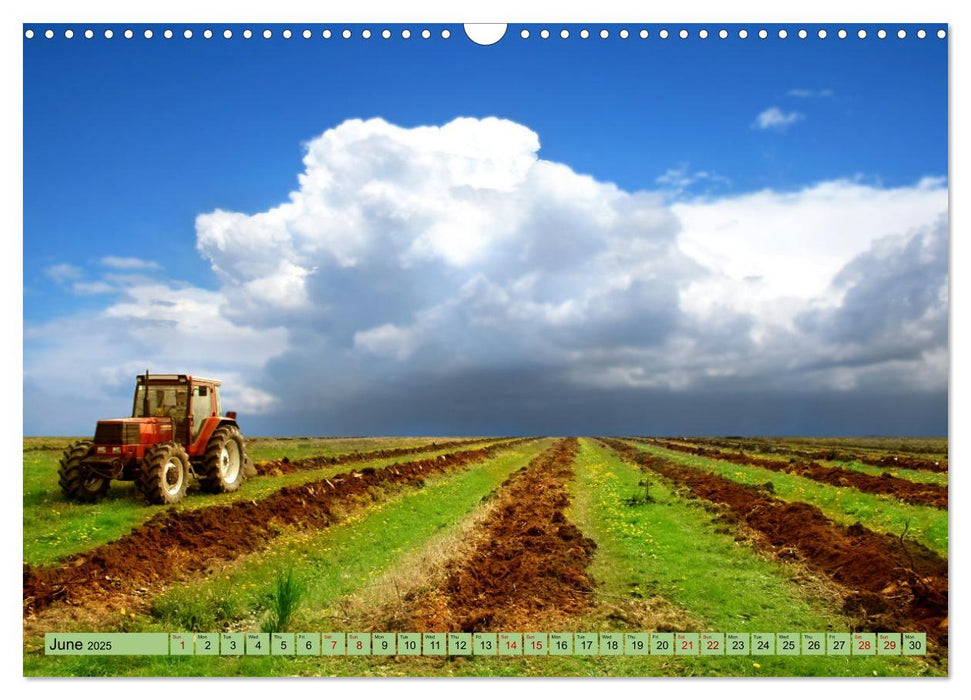 The fascination of the tractor (CALVENDO Monthly Calendar 2025)