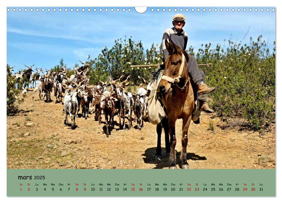 Un voyage à travers le Portugal (CALVENDO Calendrier mensuel 2025)