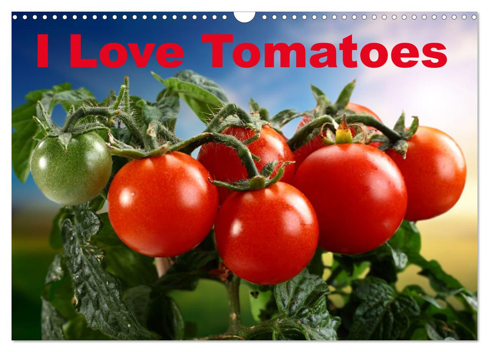 I Love Tomatoes (CALVENDO Monthly Calendar 2025)