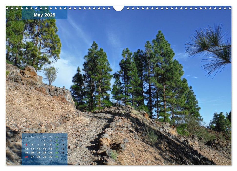 Tenerife - amazing magical (CALVENDO Monthly Calendar 2025)