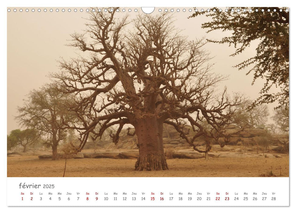 Mali - Pays Dogon - Patrimoine mondial culturel et naturel (CALVENDO Calendrier mensuel 2025)