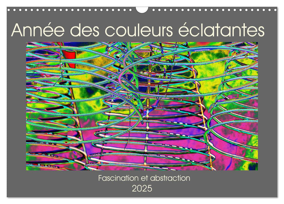 Année des couleurs éclatantes (CALVENDO Calendrier mensuel 2025)