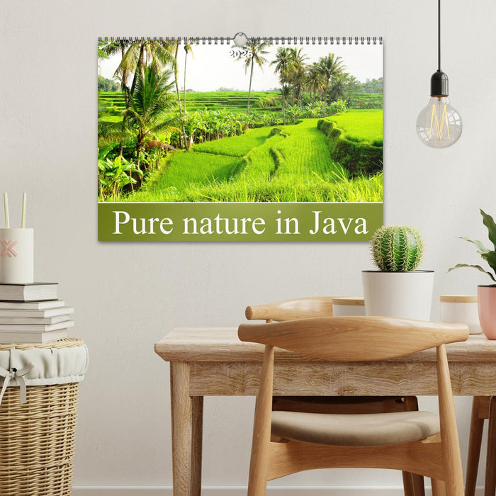 Pure nature in Java (CALVENDO Monthly Calendar 2025)