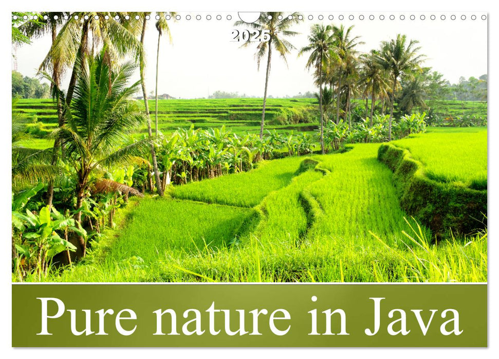 Pure nature in Java (CALVENDO Monthly Calendar 2025)