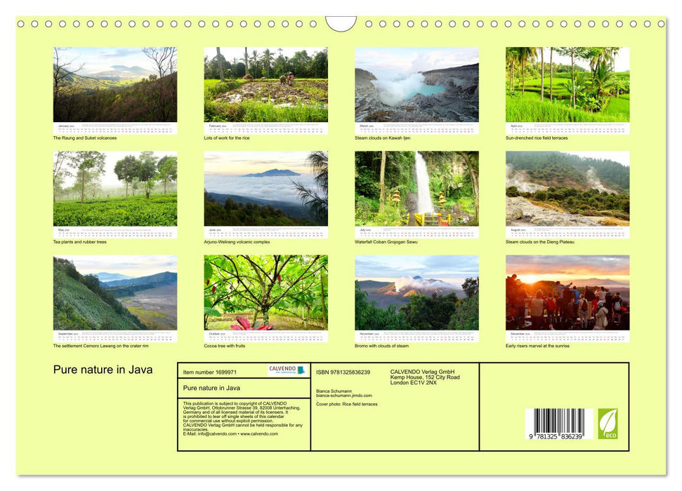 Pure nature in Java (CALVENDO Monthly Calendar 2025)