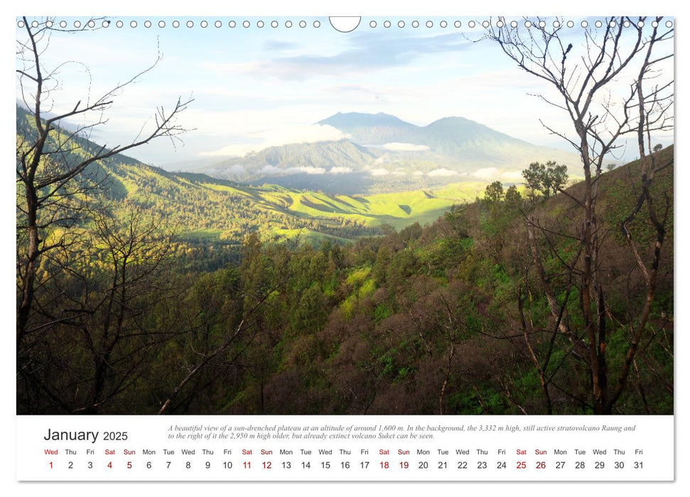 Pure nature in Java (CALVENDO Monthly Calendar 2025)