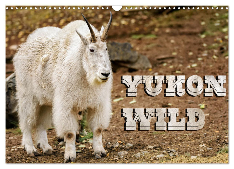 Yukon Wild (CALVENDO Monthly Calendar 2025)