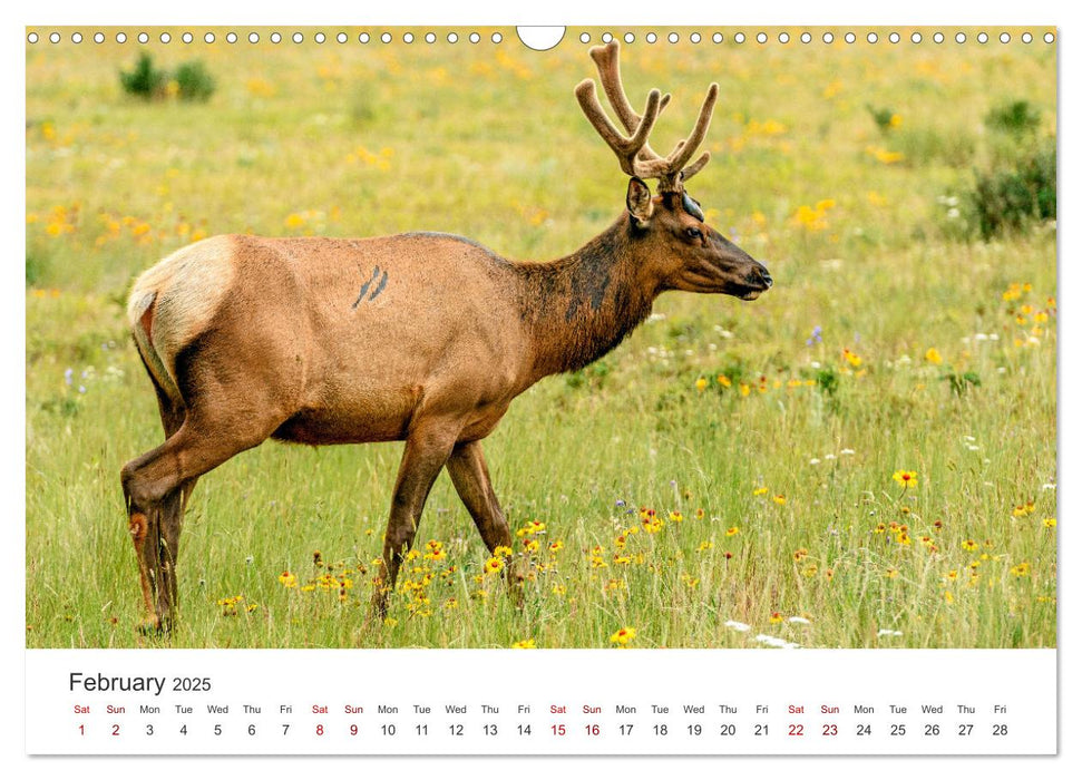 Yukon Wild (CALVENDO Monthly Calendar 2025)