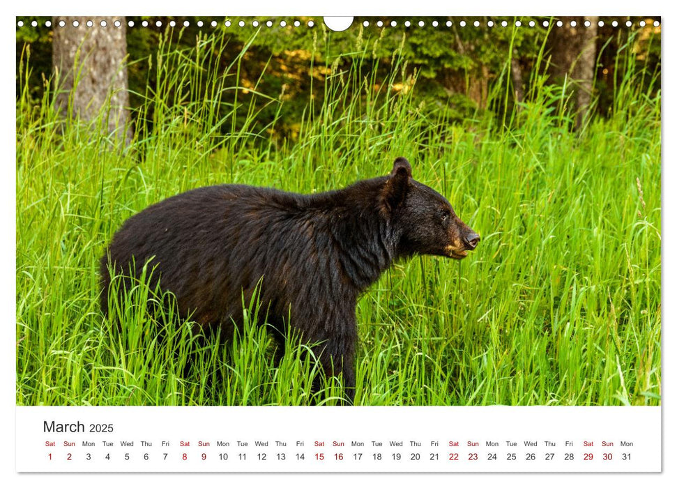 Yukon Wild (CALVENDO Monthly Calendar 2025)