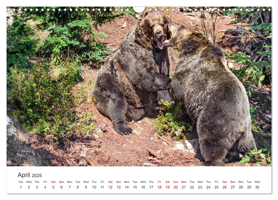 Yukon Wild (CALVENDO Monthly Calendar 2025)