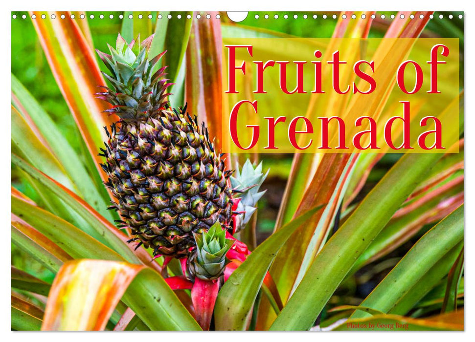 Fruits of Grenada (CALVENDO Monthly Calendar 2025)