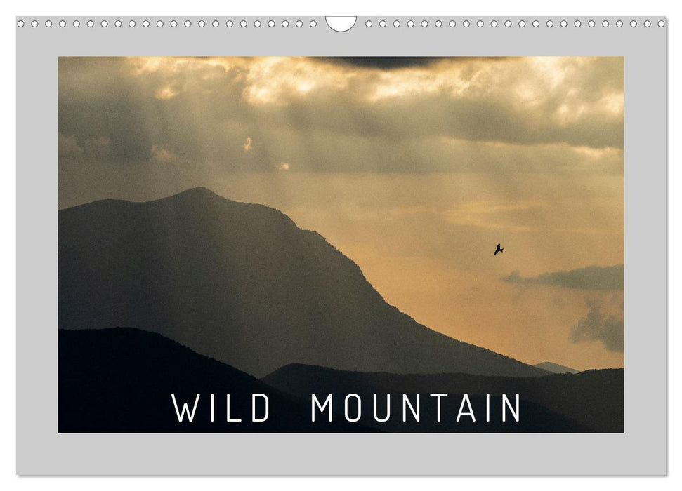 WILD MOUNTAIN (CALVENDO Monthly Calendar 2025)