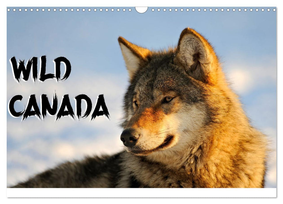 Wild Canada (CALVENDO Monthly Calendar 2025)