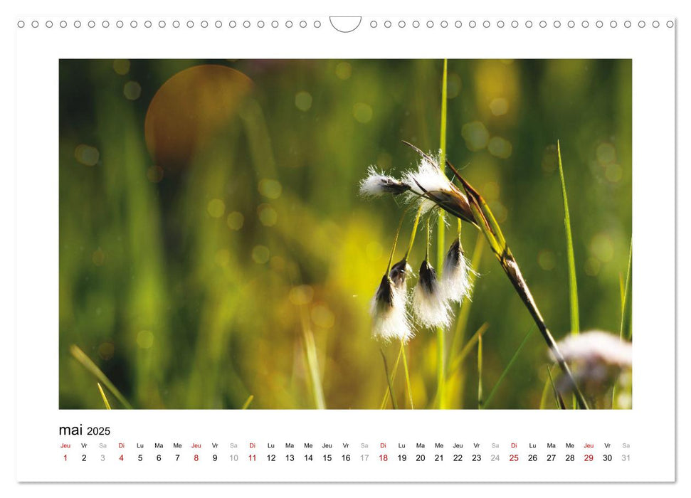 Mon lieu de désir, la nature (CALVENDO Calendrier mensuel 2025)