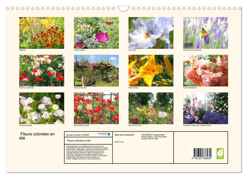 Fleurs colorées en été (CALVENDO Calendrier mensuel 2025)