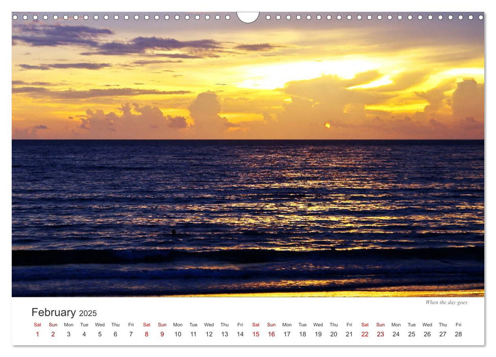 Colours on the beach (CALVENDO Monthly Calendar 2025)