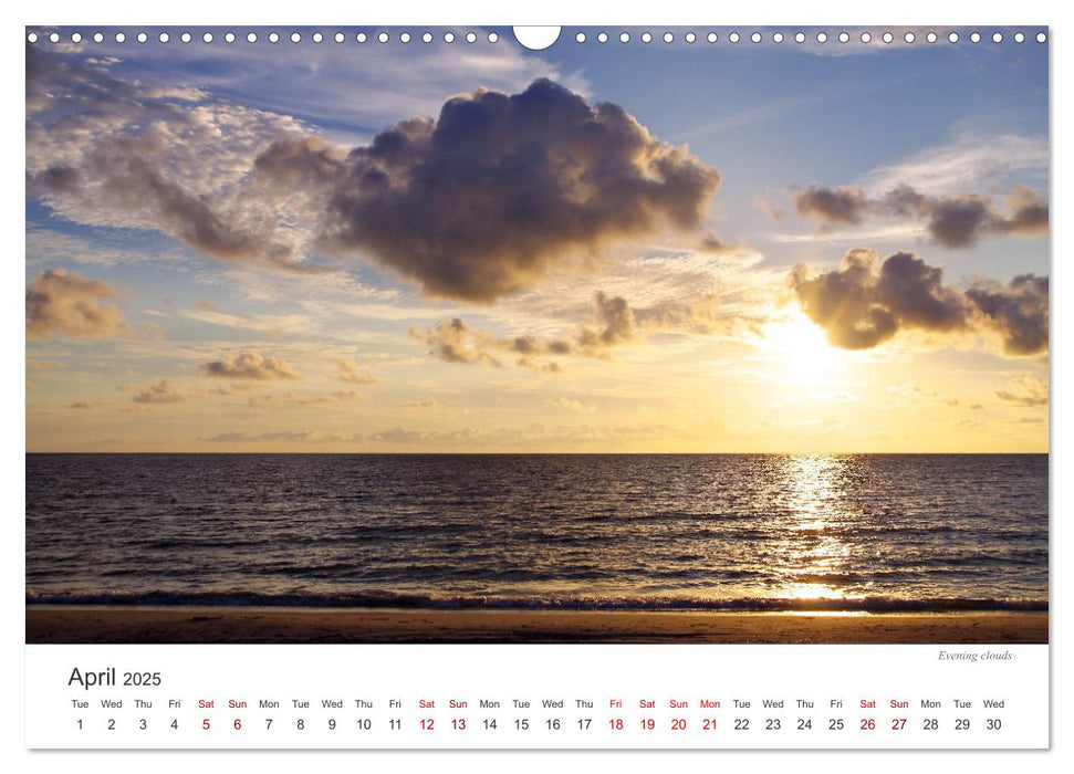 Colours on the beach (CALVENDO Monthly Calendar 2025)