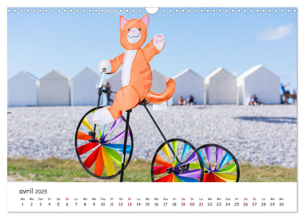 Baie de Somme festival des cerfs-volants de Cayeux-sur-mer (CALVENDO Calendrier mensuel 2025)