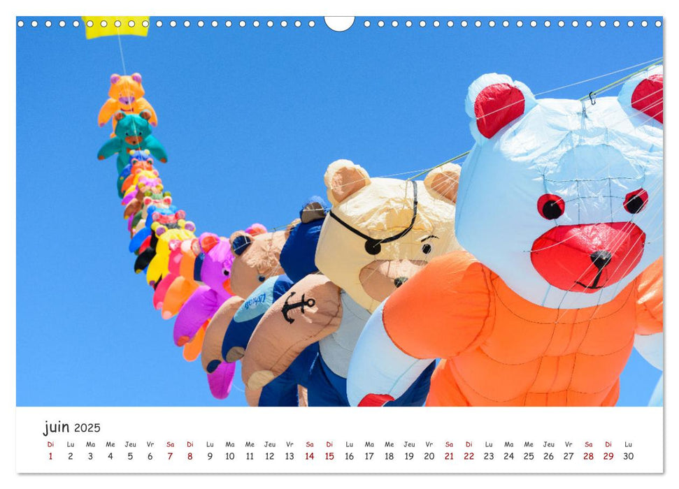 Baie de Somme festival des cerfs-volants de Cayeux-sur-mer (CALVENDO Calendrier mensuel 2025)