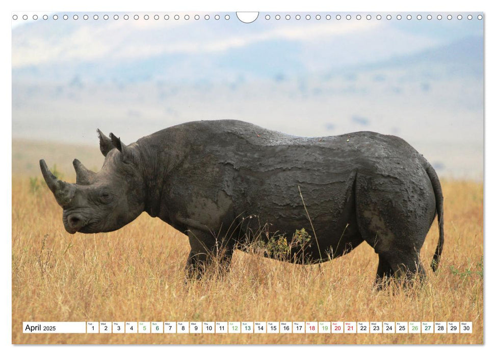 Big10 Of Masai Mara Kenya Africa (CALVENDO Monthly Calendar 2025)