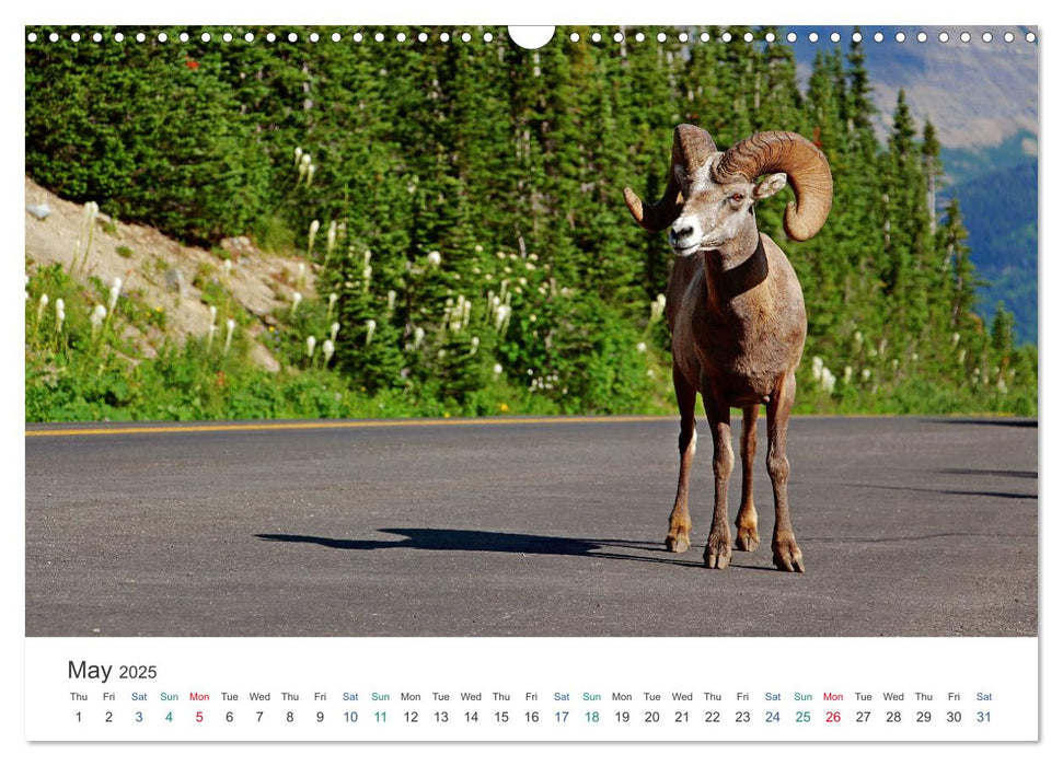 Icefields Parkway in Canada (CALVENDO Monthly Calendar 2025)