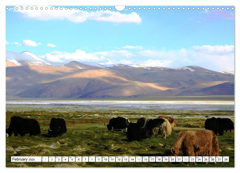 Leh And Ladakh Beautiful Glimpses (CALVENDO Monthly Calendar 2025)