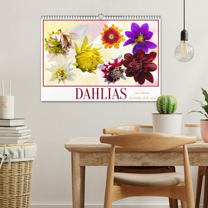 DAHLIAS une richesse de variétés et de noms (CALVENDO Calendrier mensuel 2025)