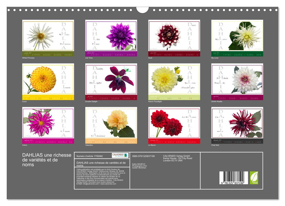 DAHLIAS une richesse de variétés et de noms (CALVENDO Calendrier mensuel 2025)