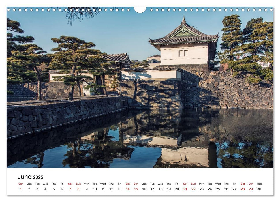 Dazzling Japan (CALVENDO Monthly Calendar 2025)