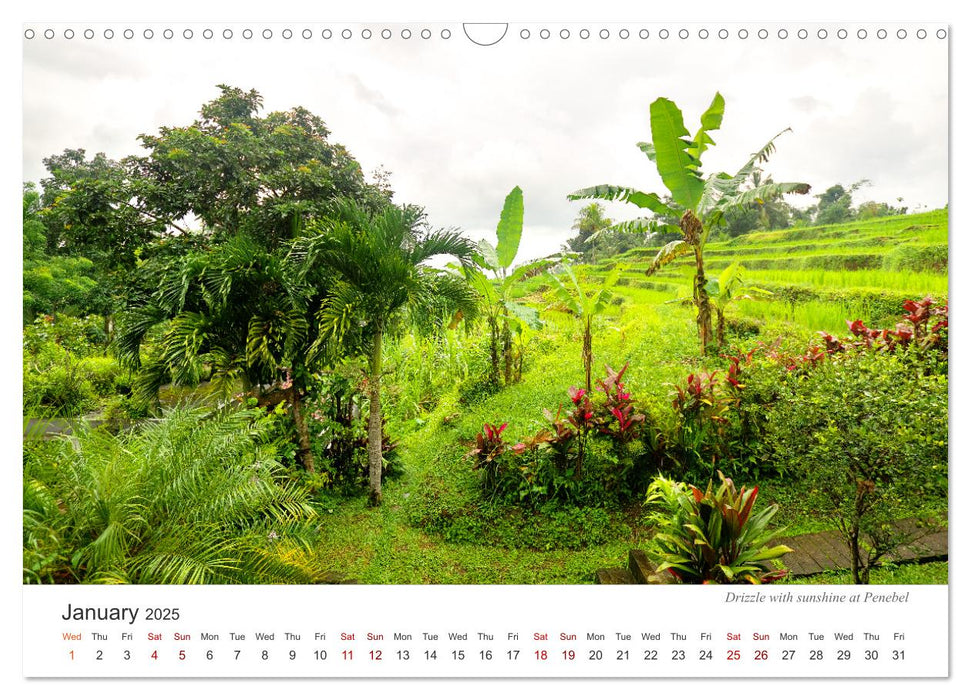 Impressions of a journey through Bali (CALVENDO Monthly Calendar 2025)