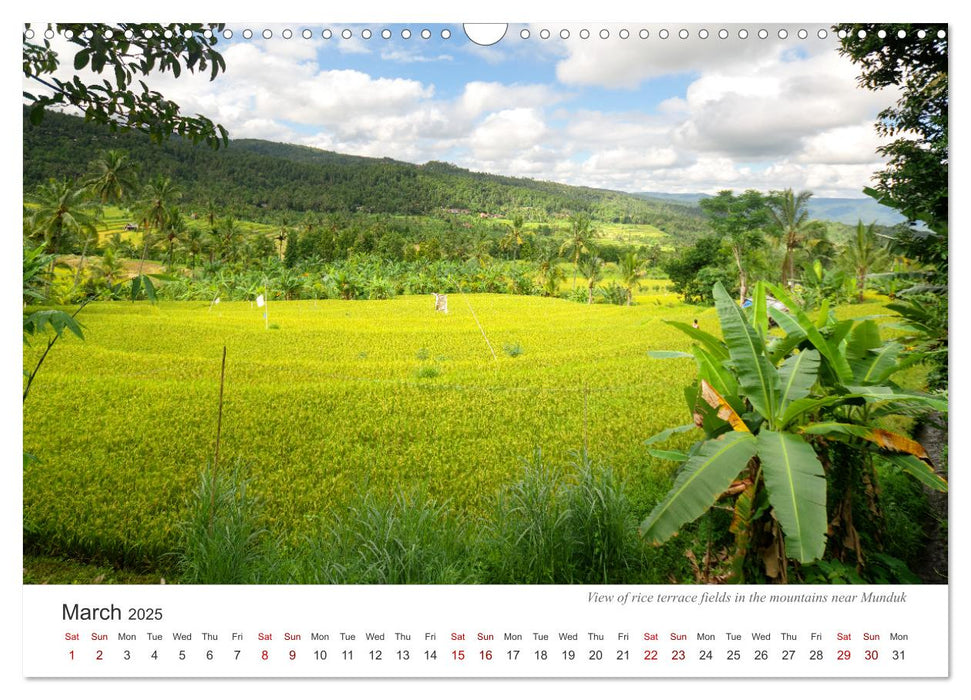 Impressions of a journey through Bali (CALVENDO Monthly Calendar 2025)