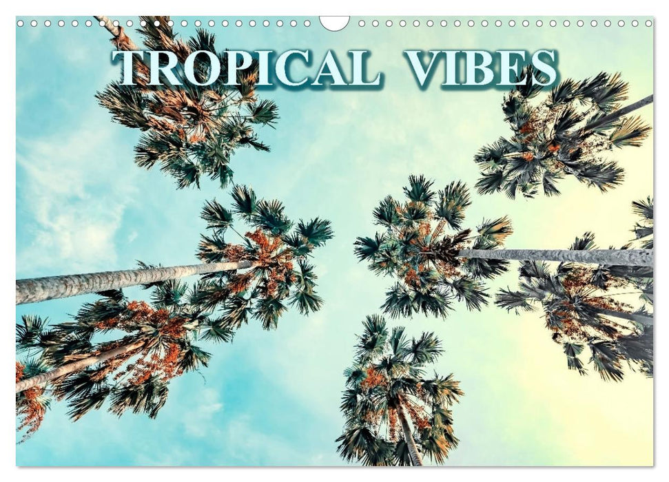 Tropical Vibes (CALVENDO Monthly Calendar 2025)